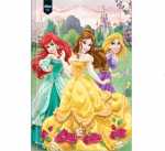 Caderno Brochura 1/4 Princesas Disney