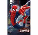Caderno Brochura Universitário - Spider Man