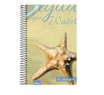 Caderno Universitário - 4 Elementos  - 12 matérias 