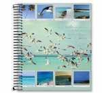 Caderno Universitário - Bliss Religioso - 15 matérias 