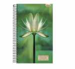 Caderno Universitário  - Link - 12 matérias 