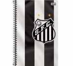 Caderno Universitário - Santos - 10 matérias